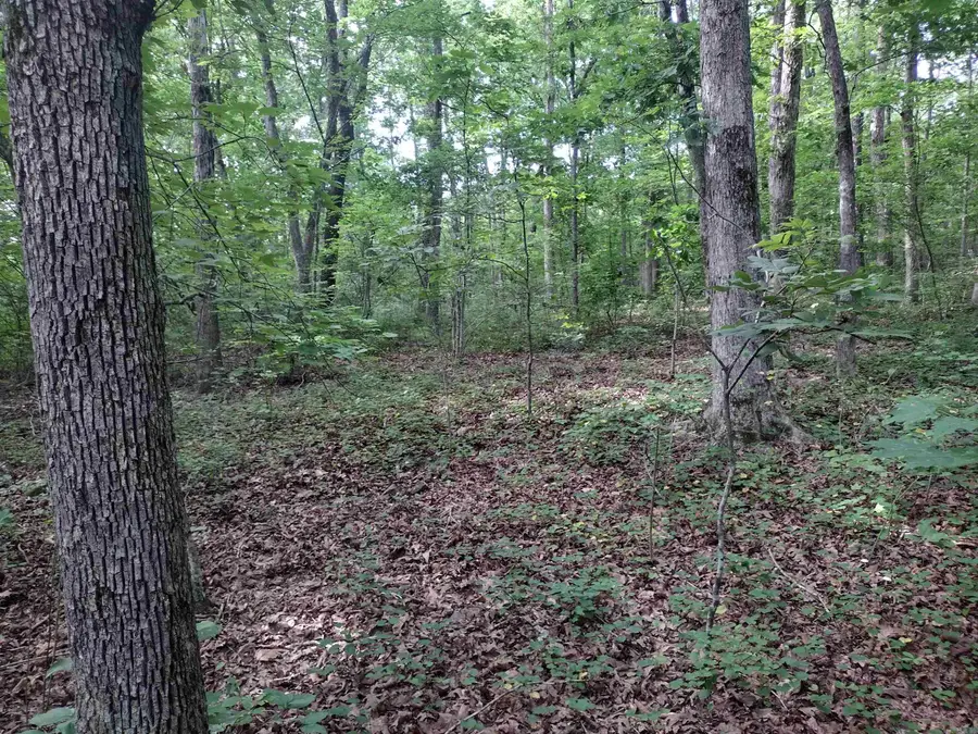 0 Iron Mountain Rd, Mountain View, AR 72560 - #3