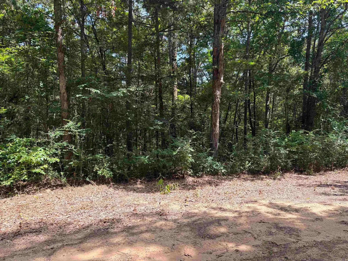 Lot 116-117 Del Rio Way, Greers Ferry, AR 72067 - #1