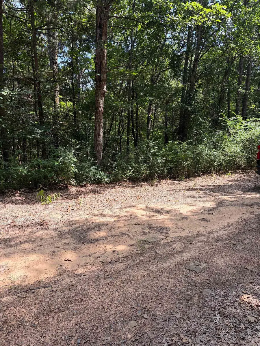 Lot 116-117 Del Rio Way, Greers Ferry, AR 72067 - #3