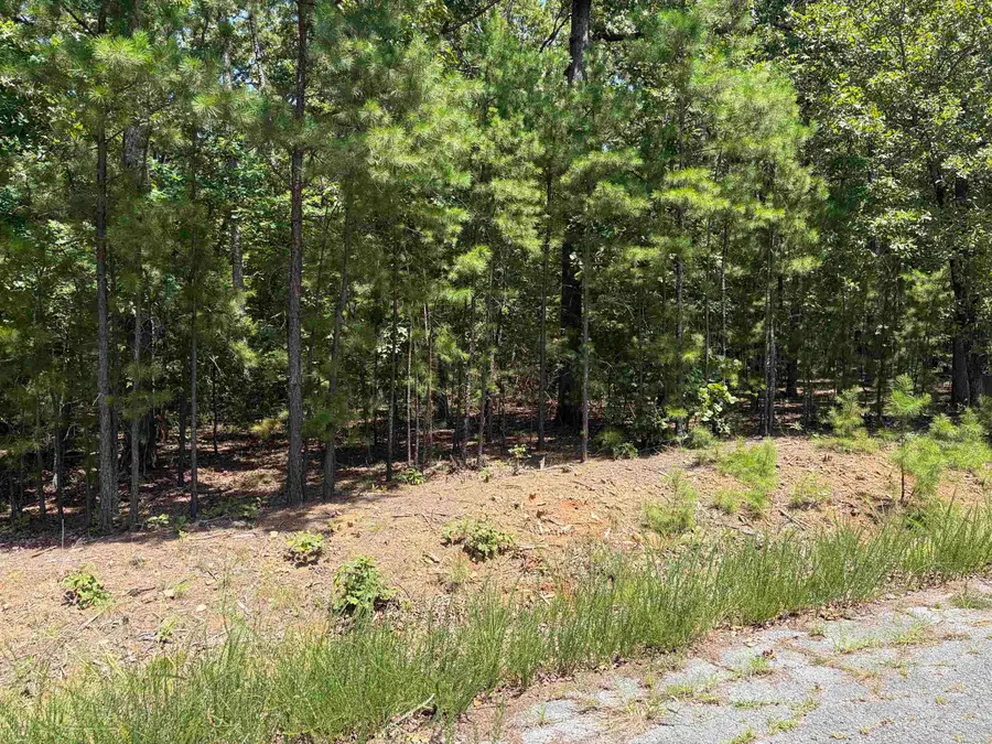 Lot 26 Island Shores, Greers Ferry, AR 72067 - #3
