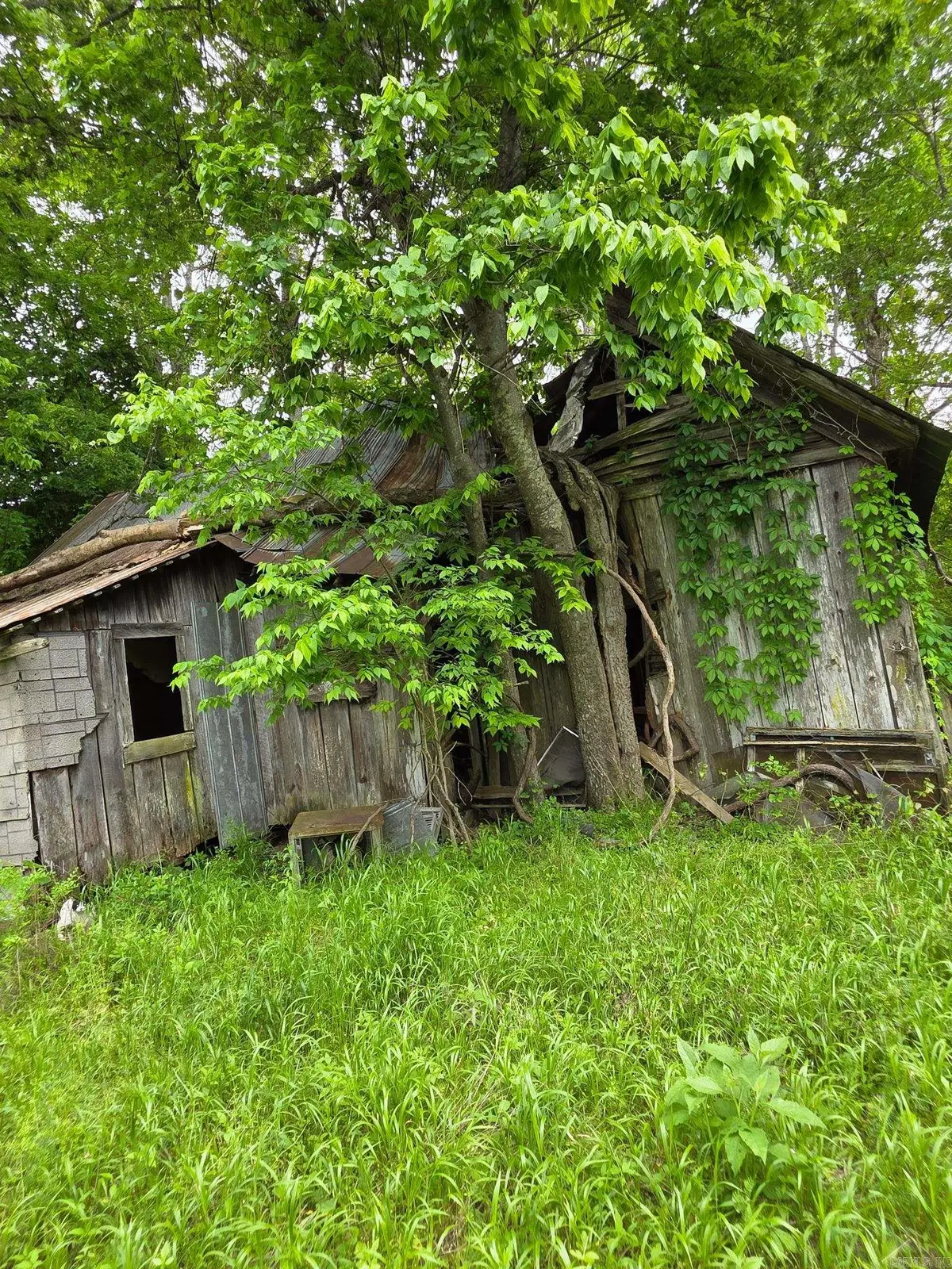 118 C.r. 5239, Oark, AR 72852 - #1