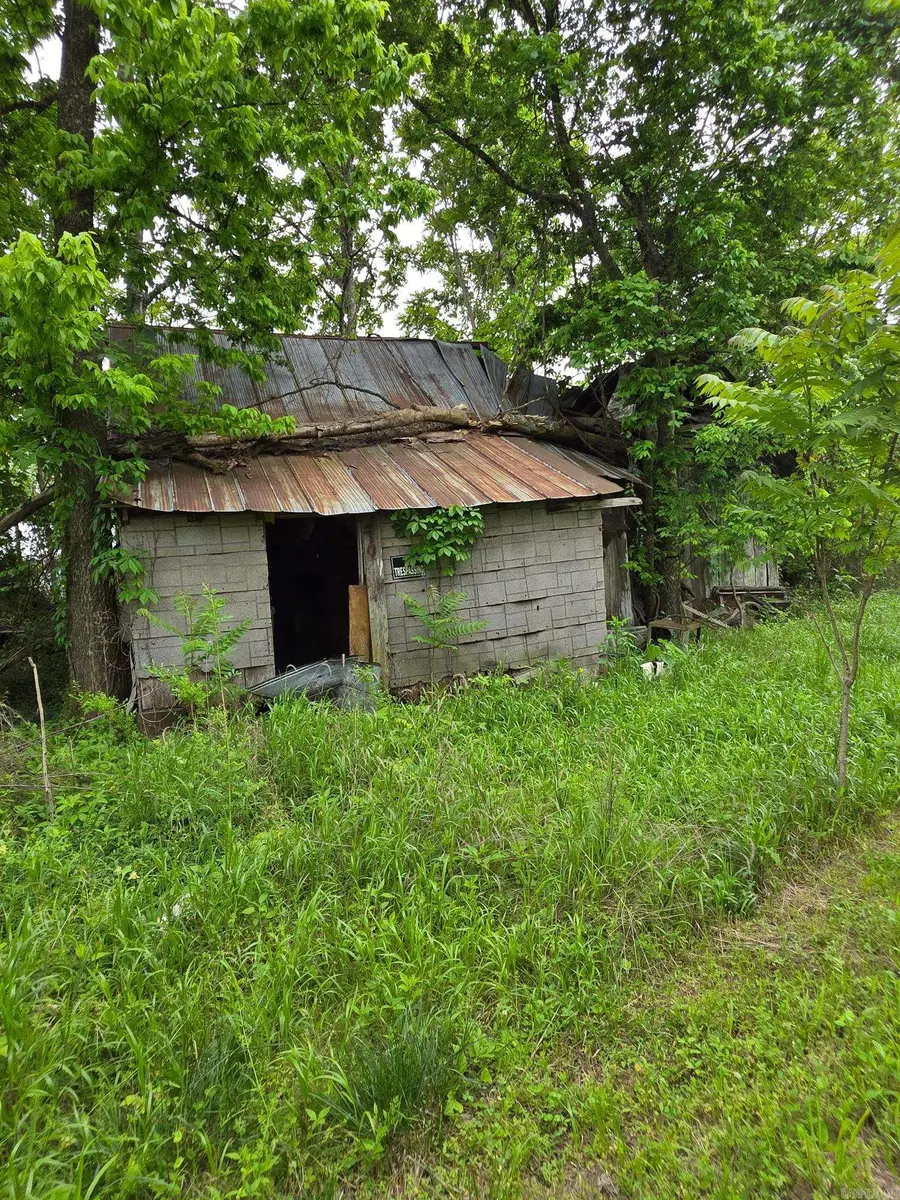 118 C.r. 5239, Oark, AR 72852 - #3