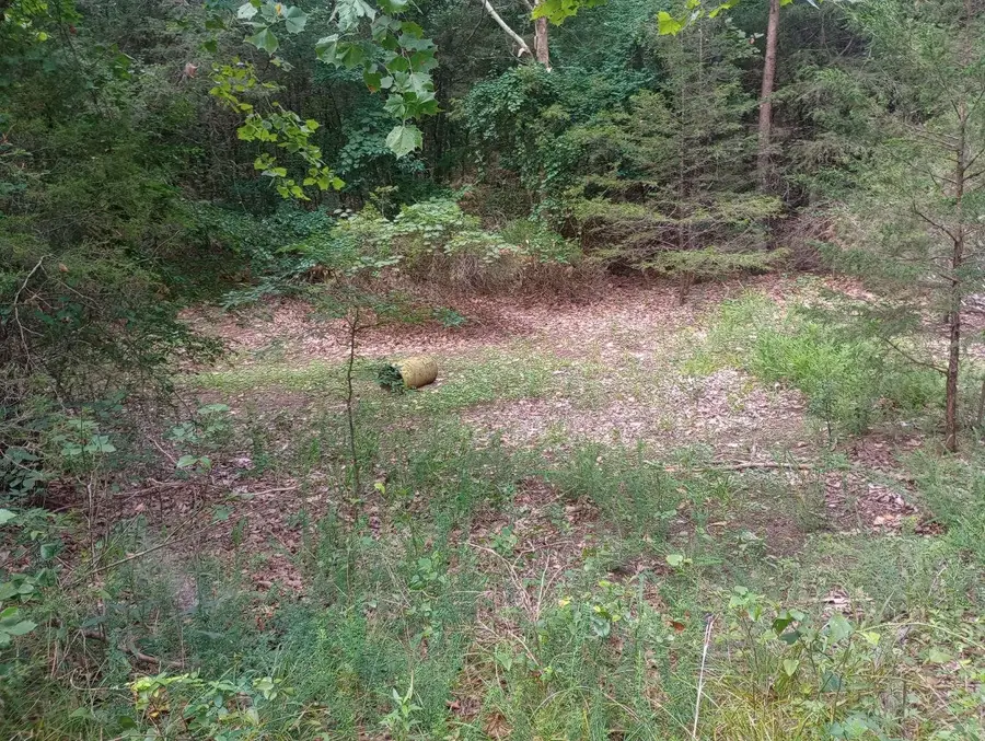 Off of Lawrence 106, Ravenden, AR 72459 - #3