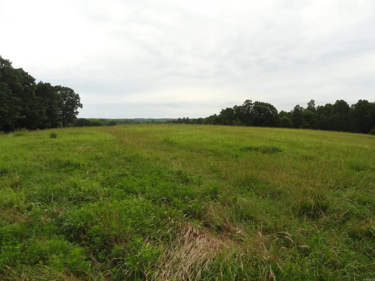 386 Reedville Road, Saint Joe, AR 72675 - #1