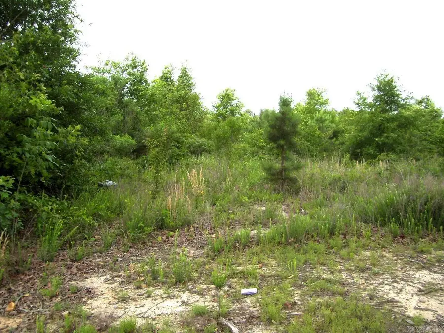 Address Withheld By Seller, Ashdown, AR 71822 - #2