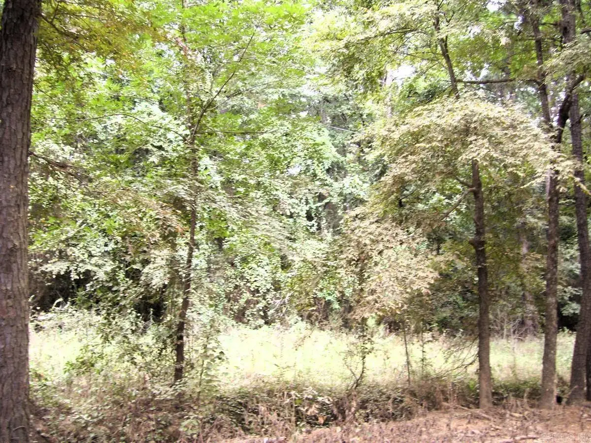 Address Withheld By Seller, Ashdown, AR 71822 - #1