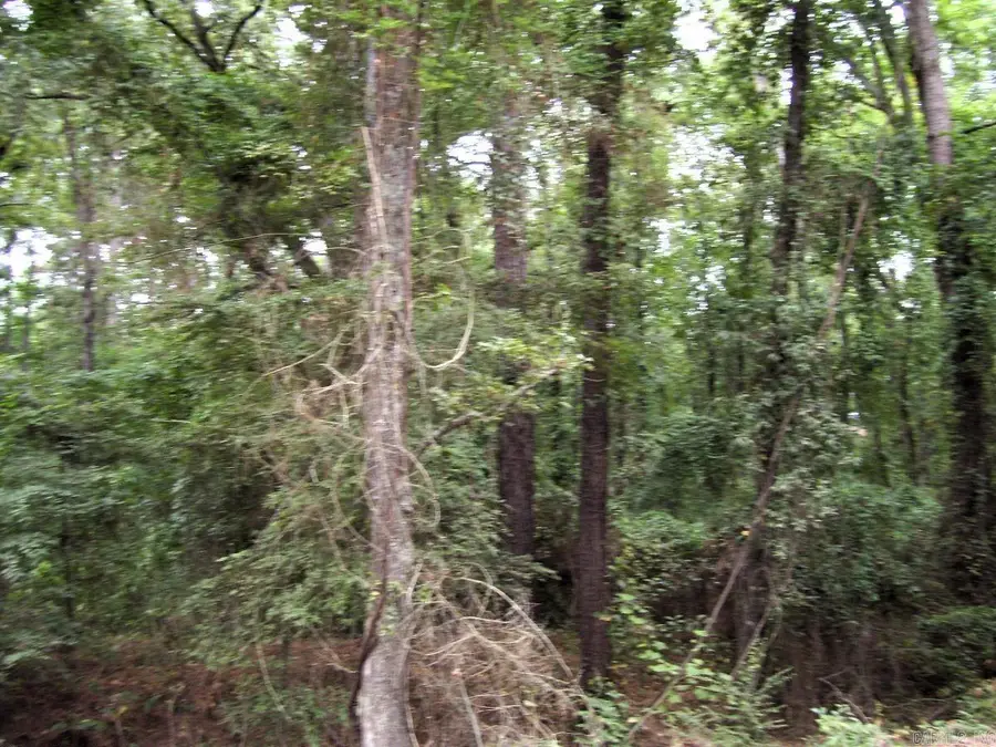 Address Withheld By Seller, Ashdown, AR 71822 - #2
