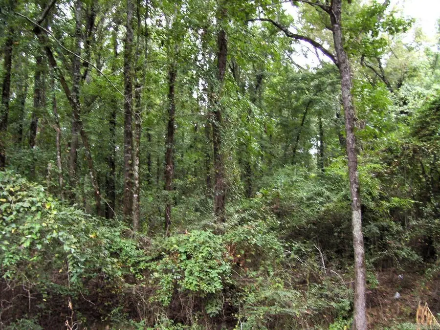 Address Withheld By Seller, Ashdown, AR 71822 - #3