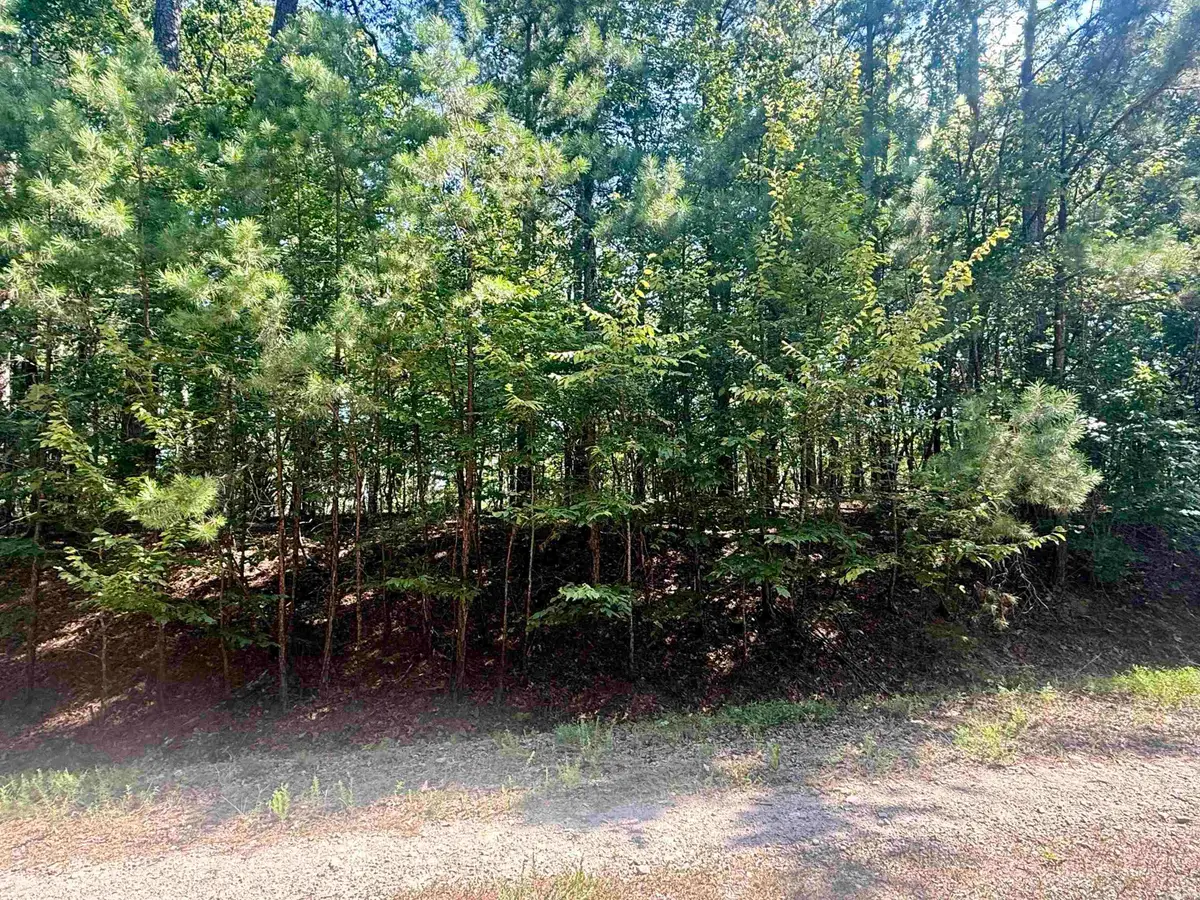 Lot 11 Fenix Way, Hot Springs Village, AR 71909 - #1