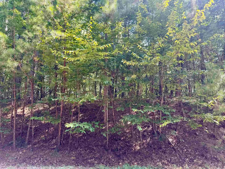 Lot 11 Fenix Way, Hot Springs Village, AR 71909 - #2