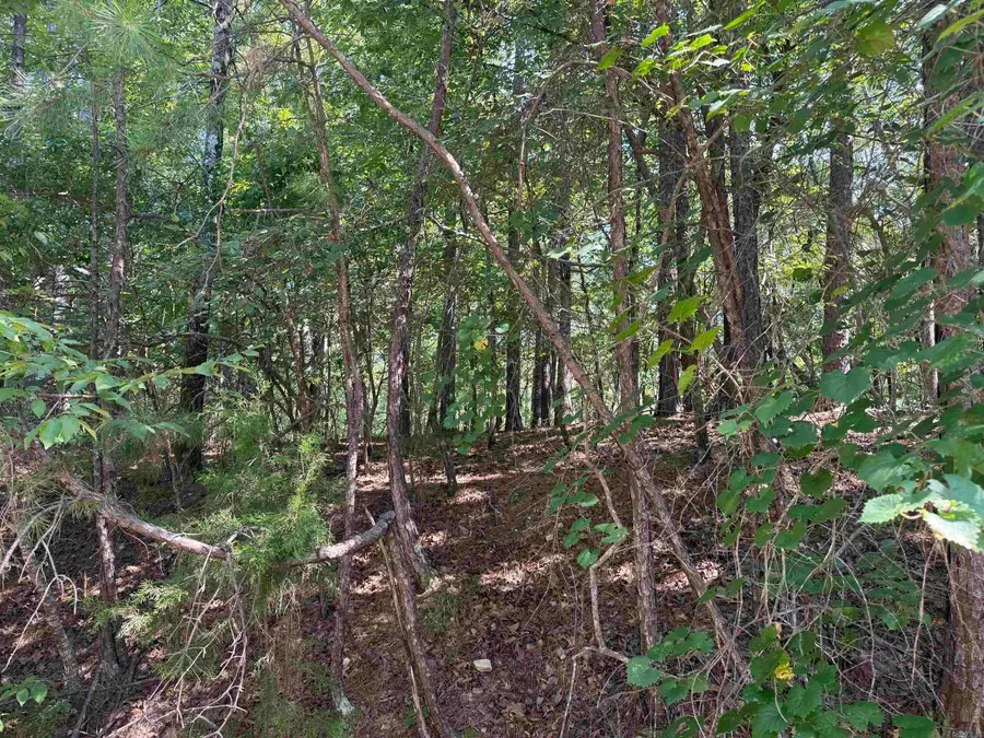 Lot 11 Fenix Way, Hot Springs Village, AR 71909 - #3