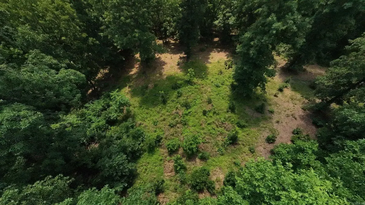 Tract 4 Upper Janes Creek Road, Ravenden, AR 72459 - #1