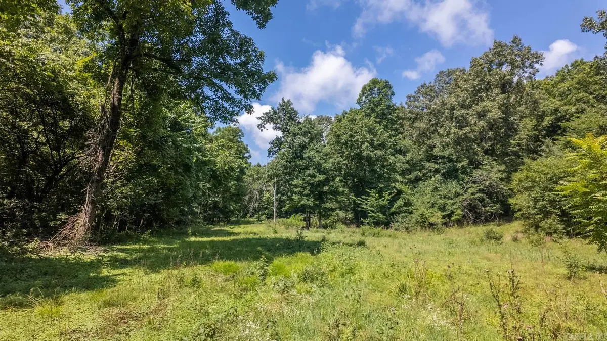 Tract 1 Upper Janes Creek Road, Ravenden, AR 72459 - #1
