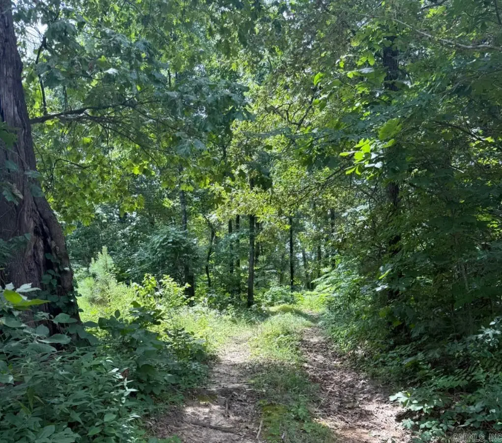 324 County Road 426, Rector, AR 72461 - #1
