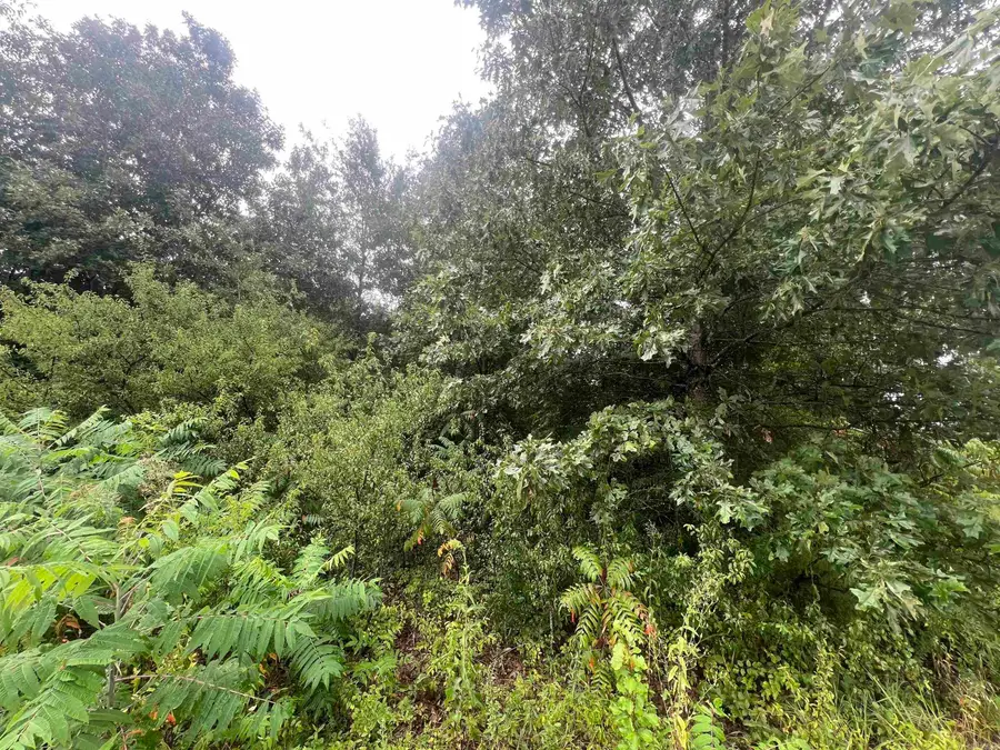 88 1661 Road, Corning, AR 72422 - #3