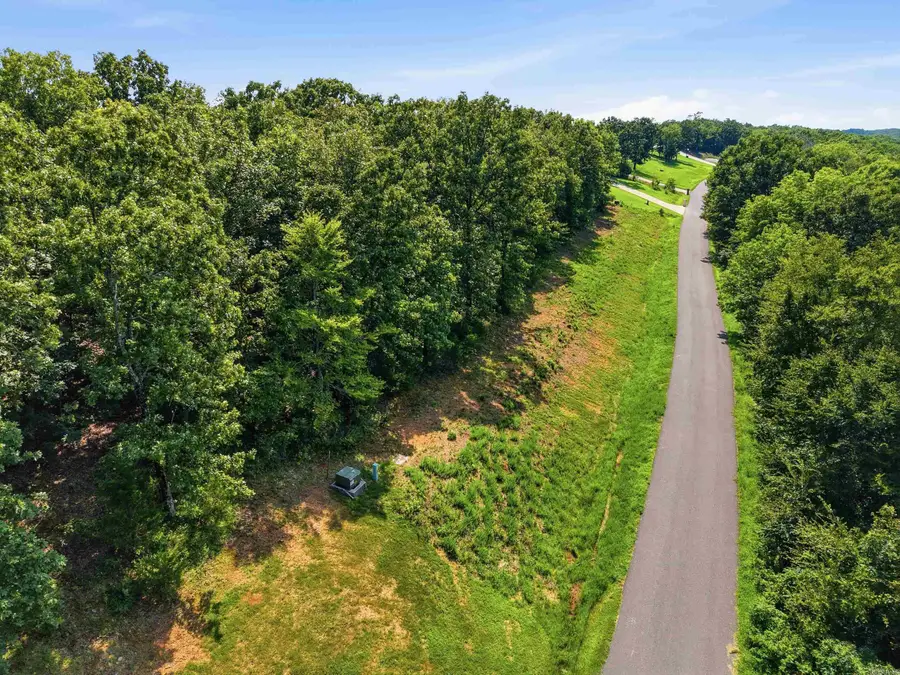 Lot 36 Crested Butte, Austin, AR 72007 - #3