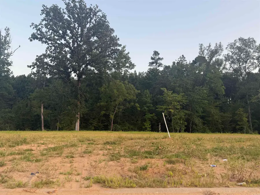 129 Southridge Boulevard, Arkadelphia, AR 71923 - #2
