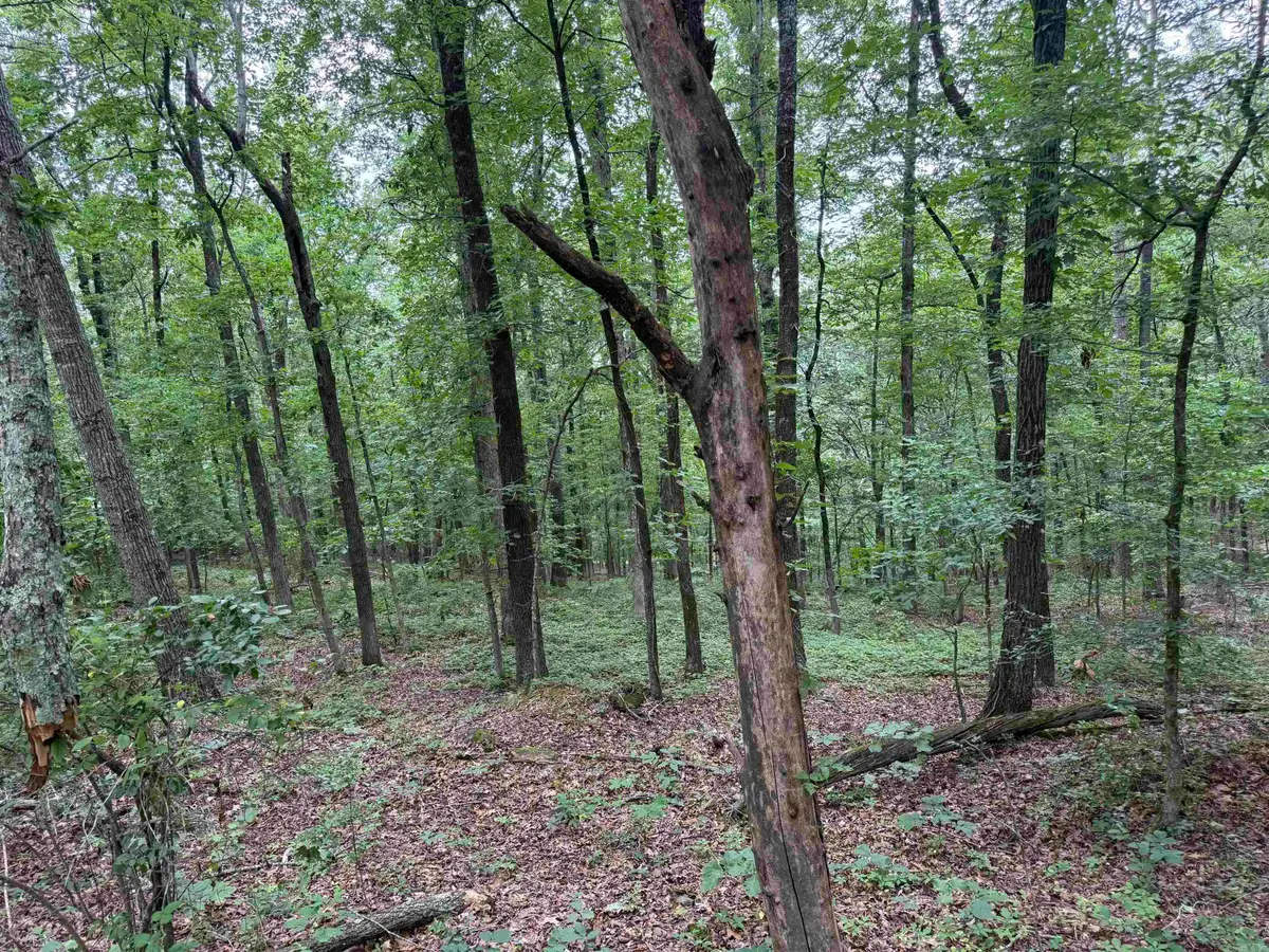 Pine Drive, Heber Springs, AR 72543 - #1