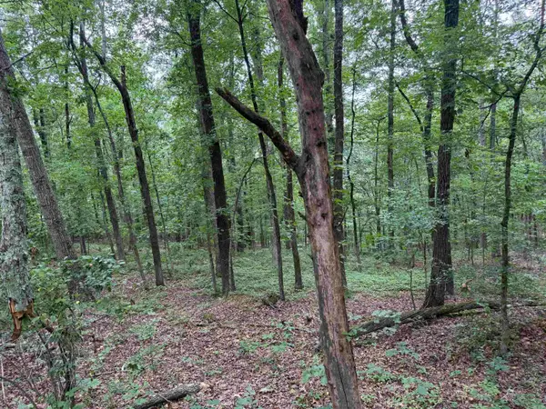 Pine Drive, Heber Springs, AR 72543