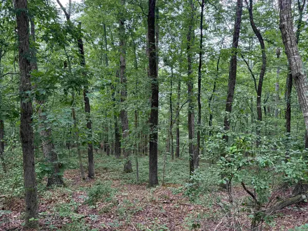 Pine Drive, Heber Springs, AR 72543