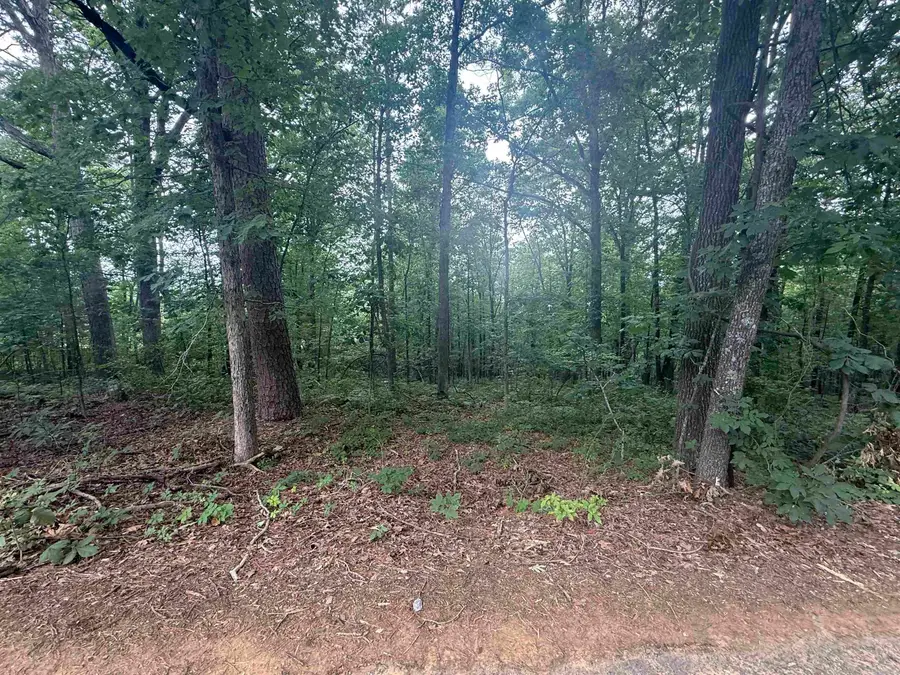 Pine Drive, Heber Springs, AR 72543 - #2