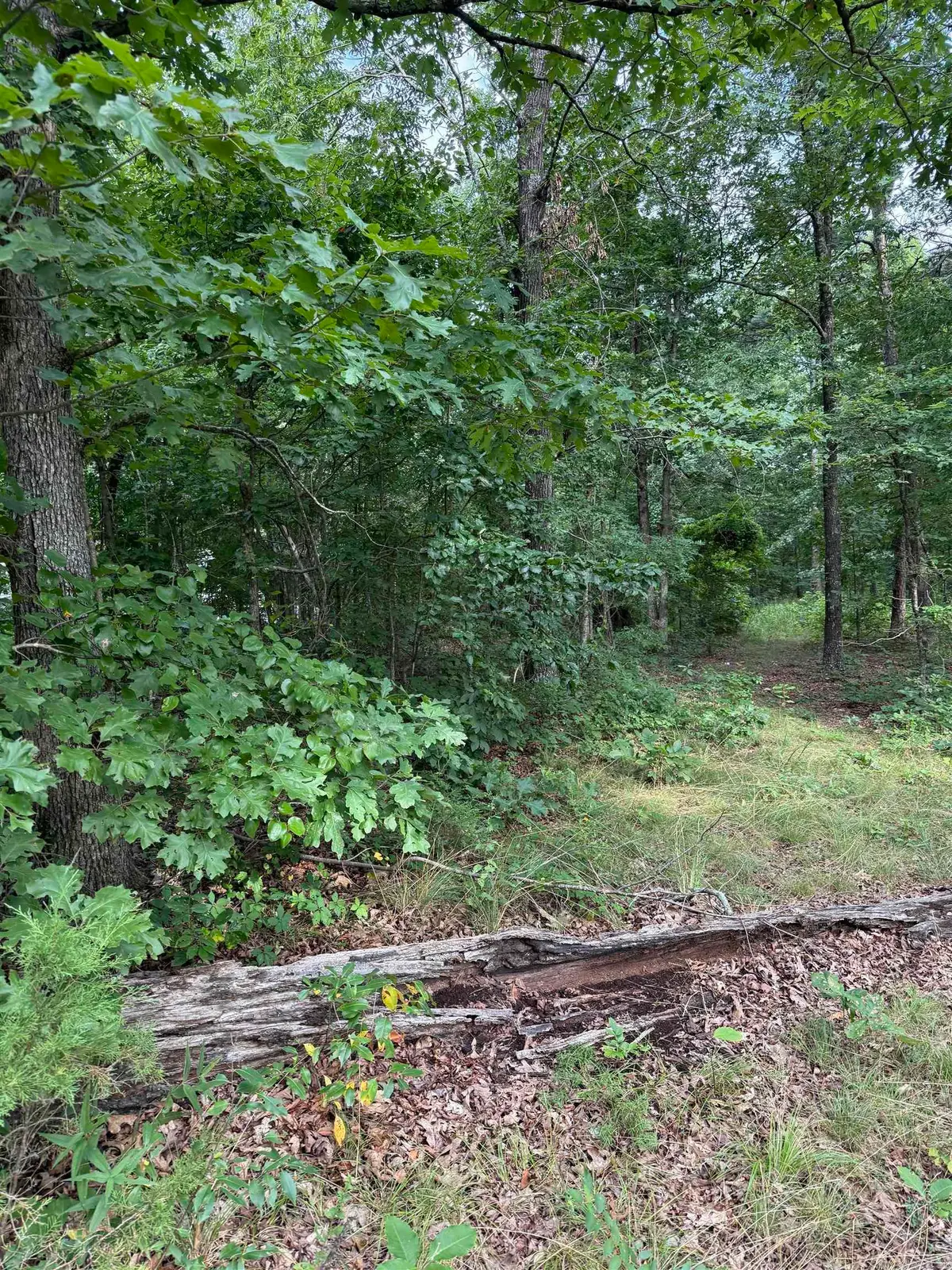 2830 Tiger B Road, Drasco, AR 72530 - #1