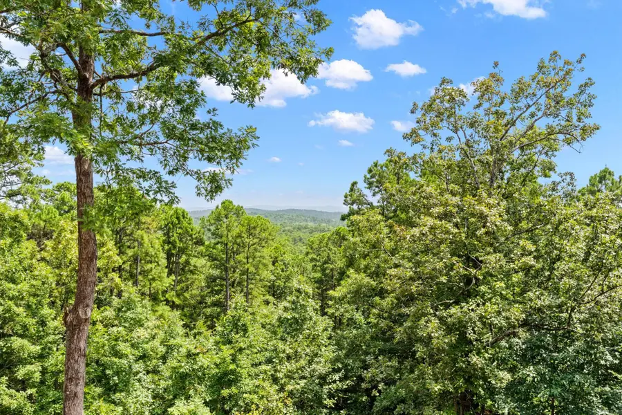 35 Derecho Way, Hot Springs Village, AR 71909 - #2