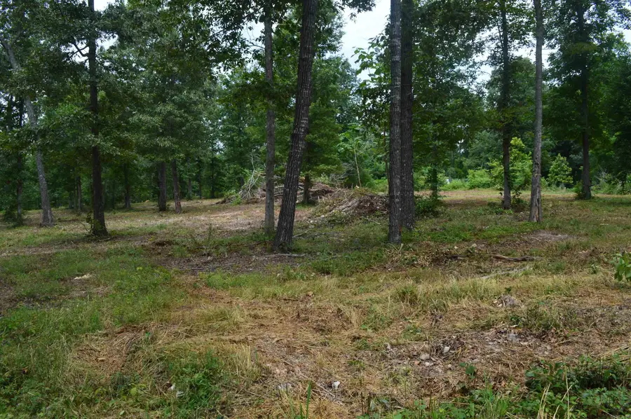 Address Withheld By Seller, Fifty Six, AR 72533 - #2