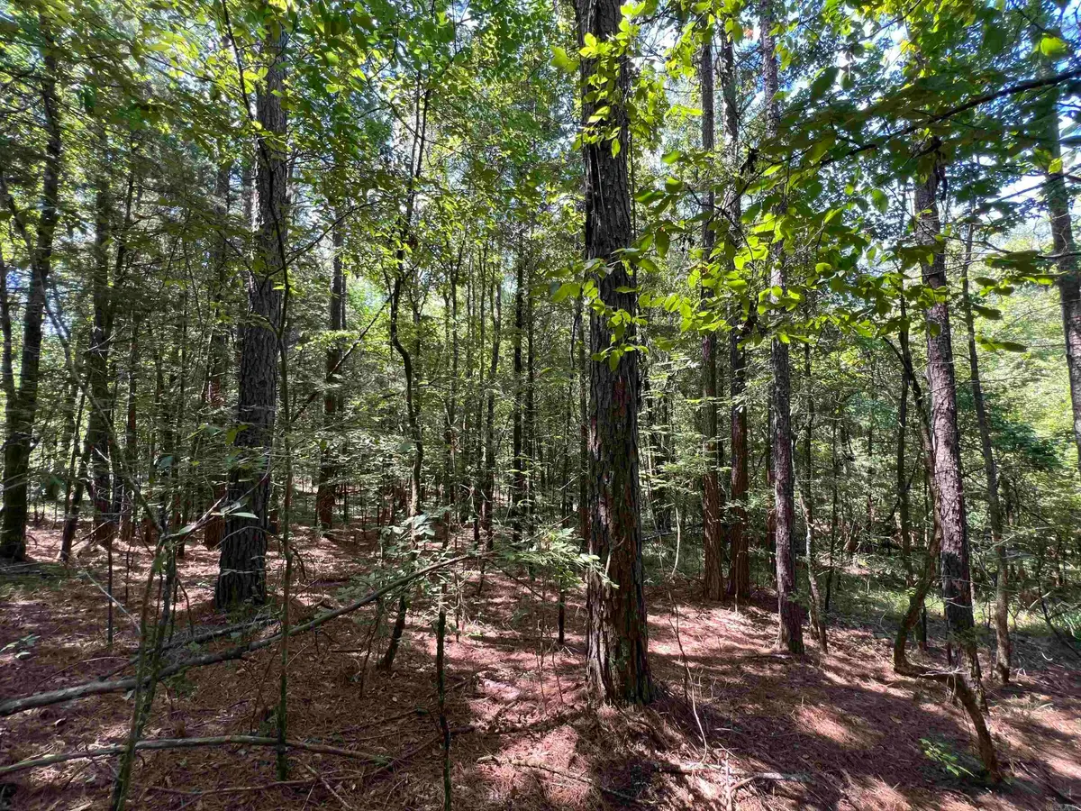 000 Davidson Campground Rd, Okolona, AR 71962 - #1