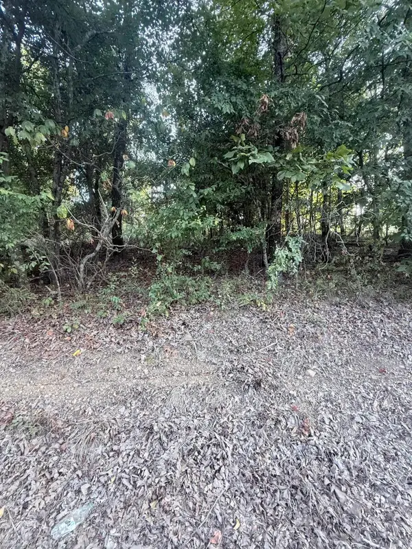 lot 10 Ridge, Mayflower, AR 72106