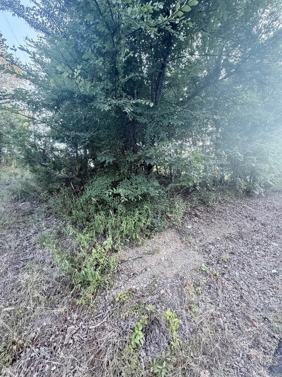 lot 10 Ridge, Mayflower, AR 72106 - #3