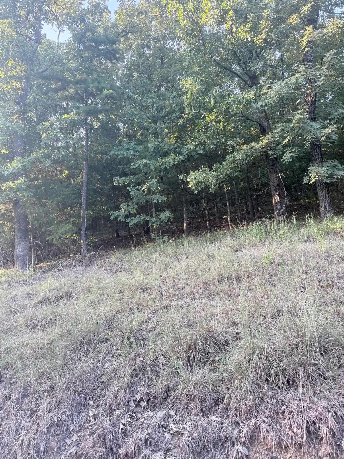 lot 14 Ridge, Mayflower, AR 72106 - #1