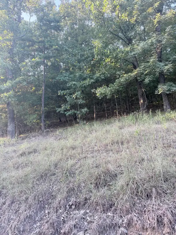 lot 14 Ridge, Mayflower, AR 72106