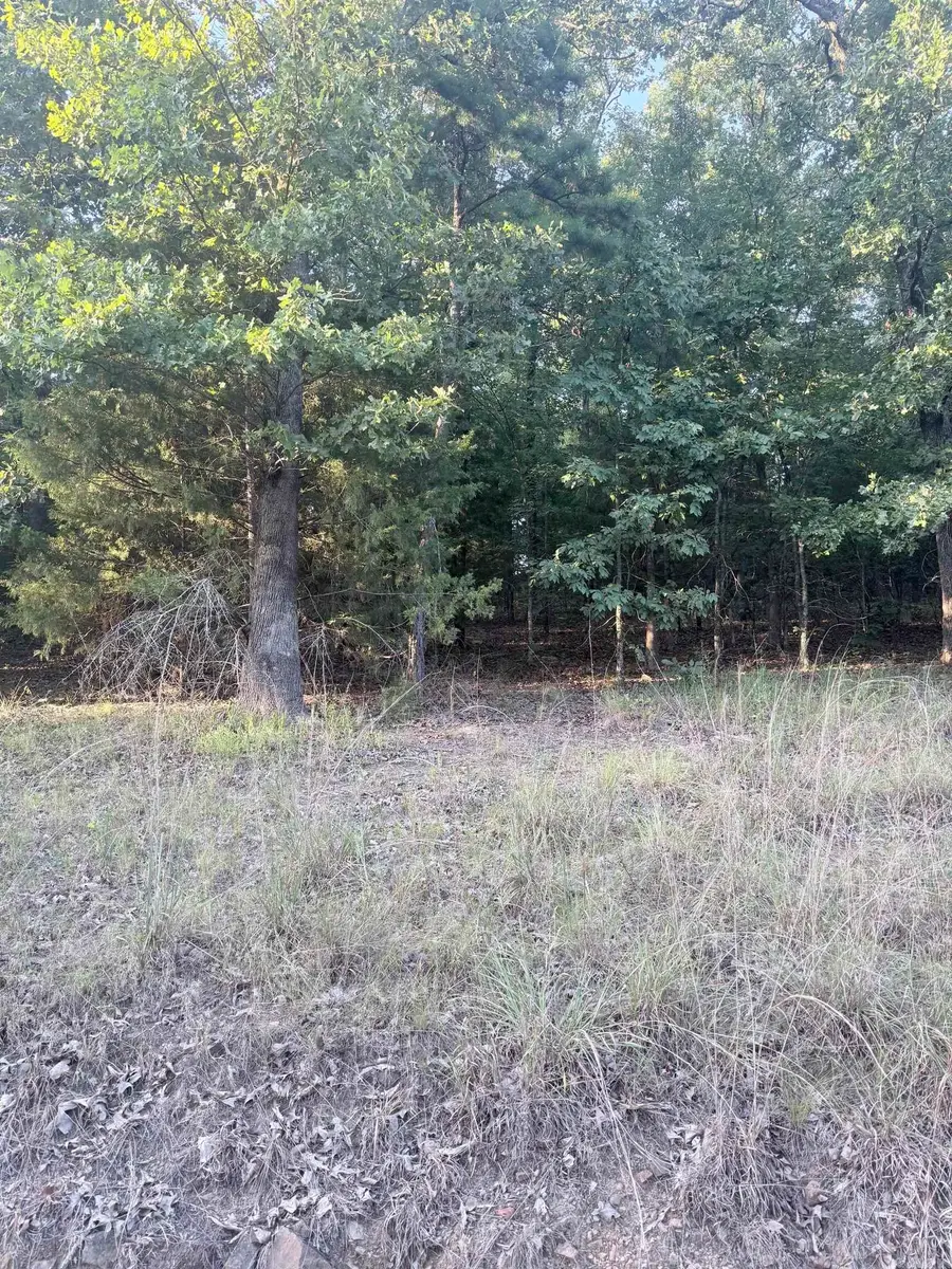 lot 14 Ridge, Mayflower, AR 72106 - #2