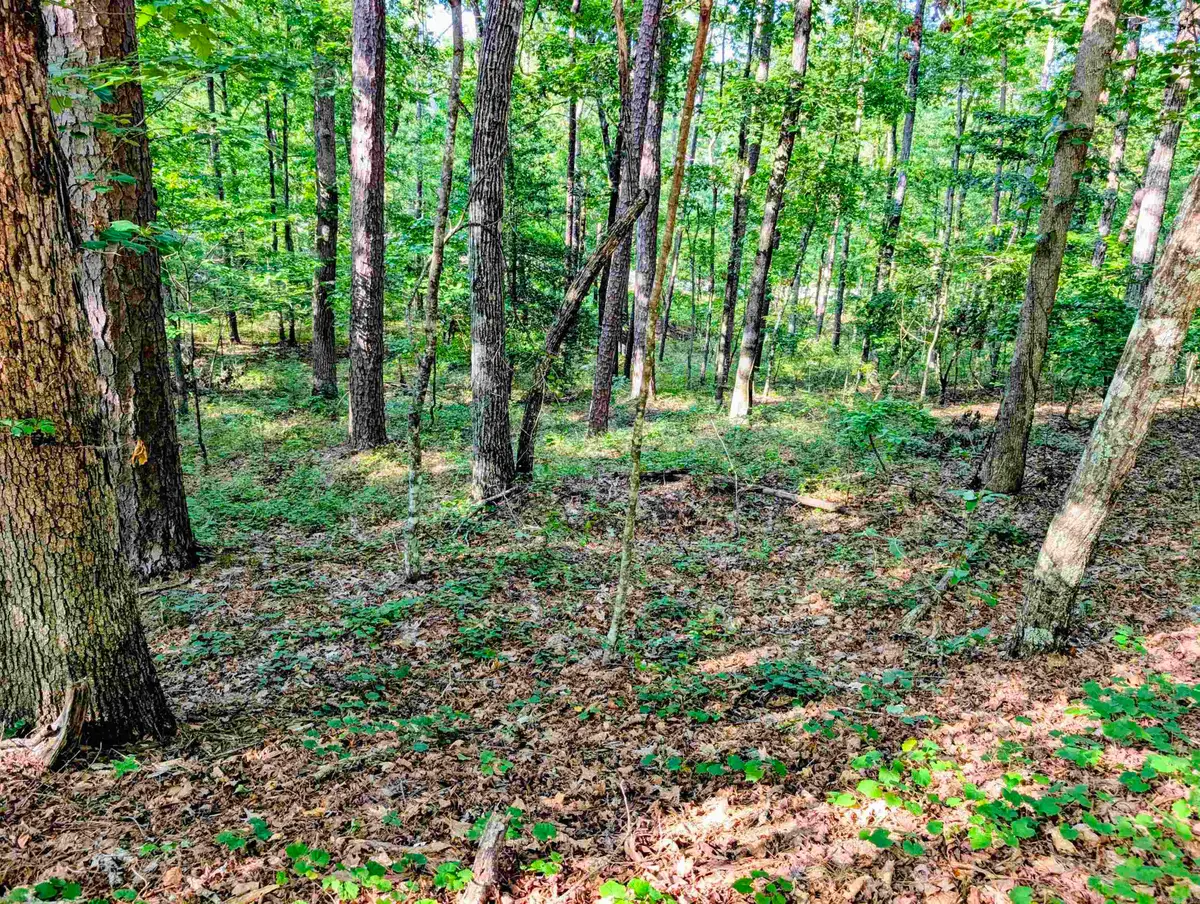 30 Montijo Way, Hot Springs Village, AR 71909 - #1