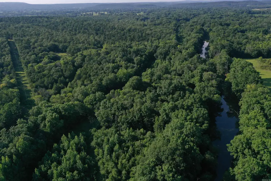 17803 Lucas Bottom Rd, Booneville, AR 72927 - #2