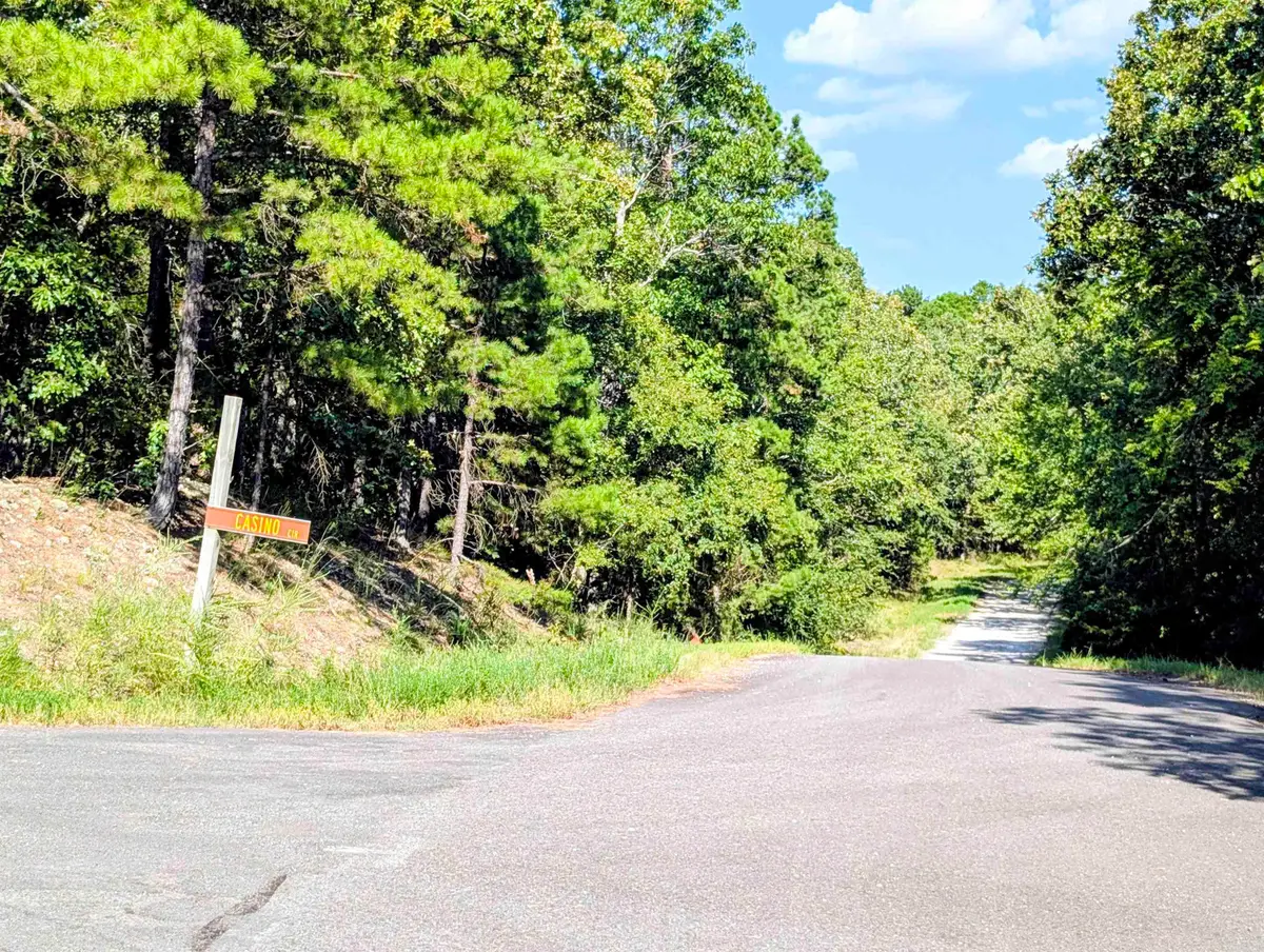 Address Withheld By Seller, Hot Springs Village, AR 71909 - #1