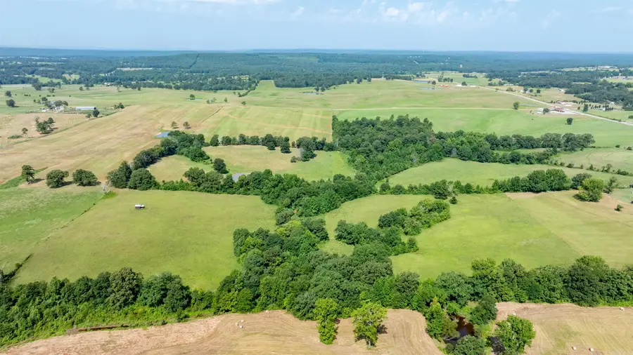 000 Floral Road, Fairview, AR 72501 - #3