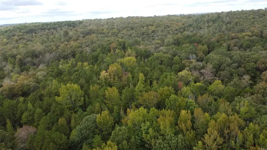 0 Heath Lane, Greenbrier, AR 72058 - #2