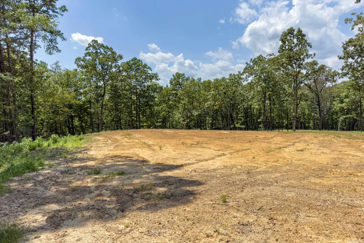 131 Osage Street, De Queen, AR 71832 - #1