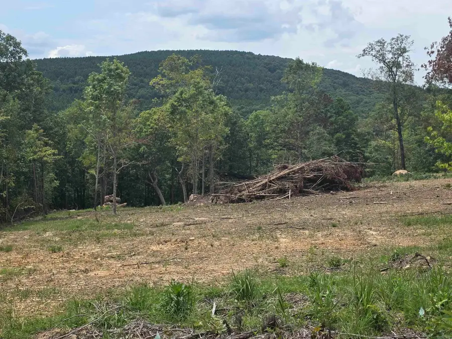 Lot 9 Scenic View, Edgemont, AR 72044 - #2