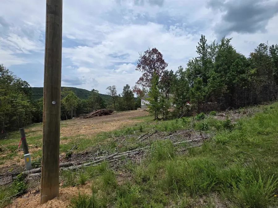 Lot 9 Scenic View, Edgemont, AR 72044 - #3