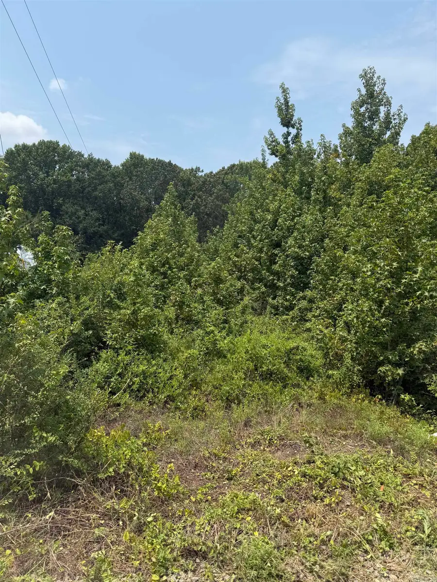 Lot 13 Gamble Lane, Carlisle, AR 72024 - #3
