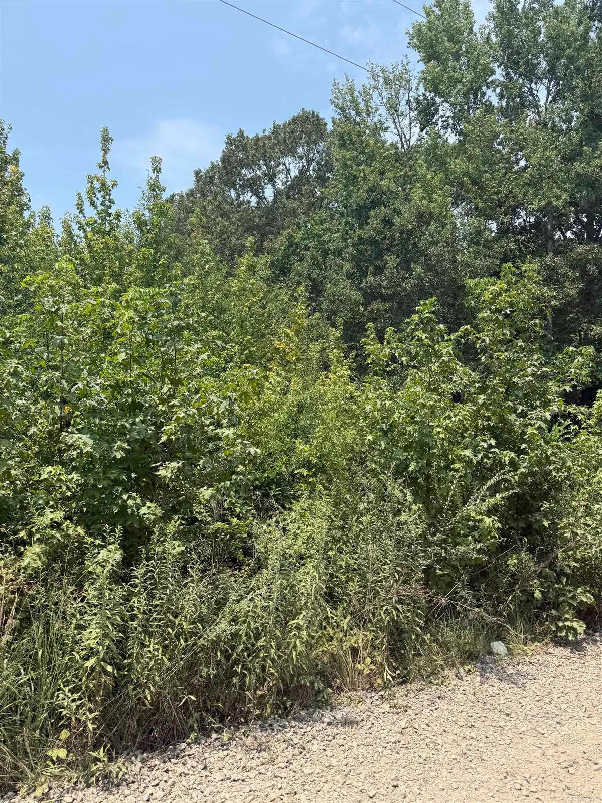 Lot 10 Gamble Lane, Carlisle, AR 72024 - #1