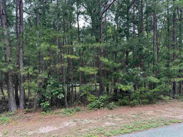 Lot 87 Cobalt Bay Drive, Shirley, AR 72153