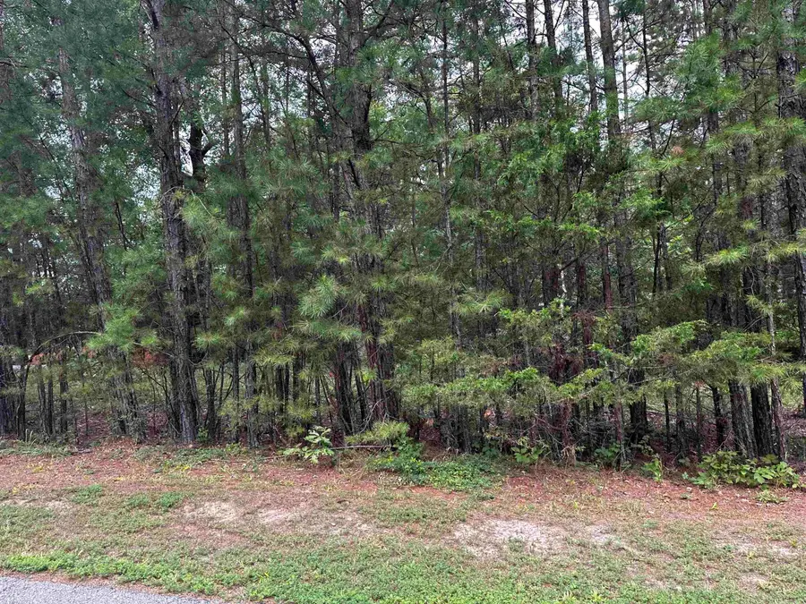 Lot 87 Cobalt Bay Drive, Shirley, AR 72153 - #2