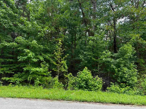 Lot 106 Cobalt Bay Drive, Shirley, AR 72153