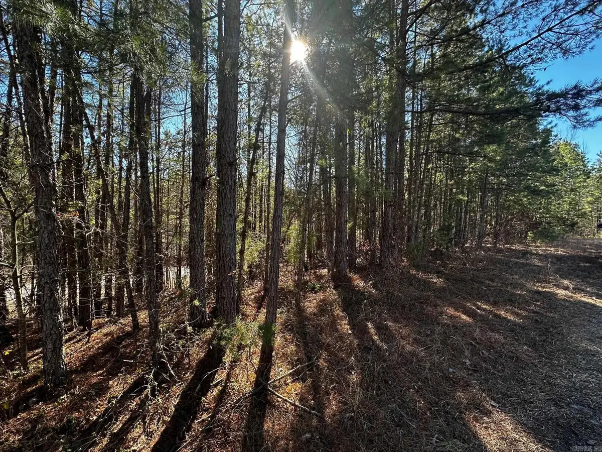 Lot 108 Cobalt Bay Drive, Shirley, AR 72153 - #1