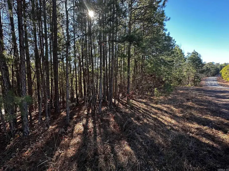 Lot 108 Cobalt Bay Drive, Shirley, AR 72153 - #3