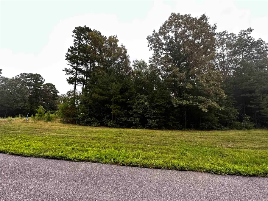 Lot 64 Cobalt Bay Drive, Shirley, AR 72153 - #2